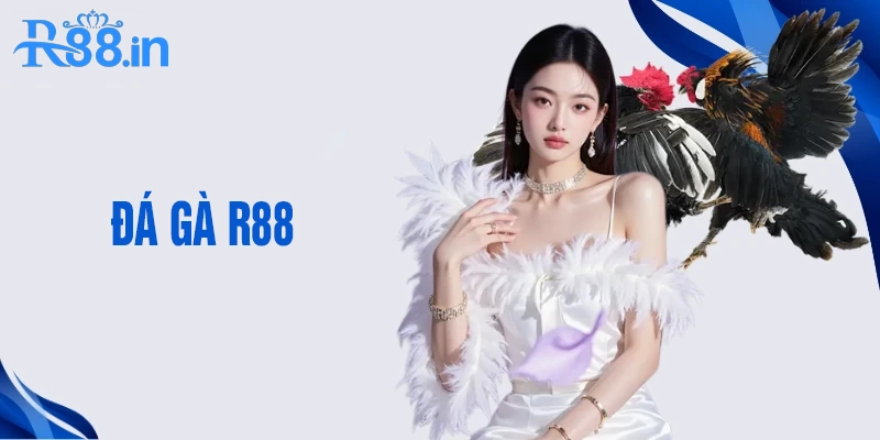 Khám phá thông tin cơ bản về đá gà R88